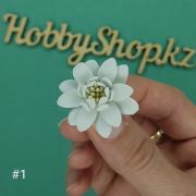 Астра из фоамирана №01