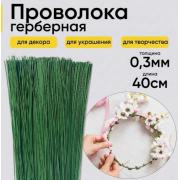 Проволока герберная Польша 0,3мм*40см (10шт) 