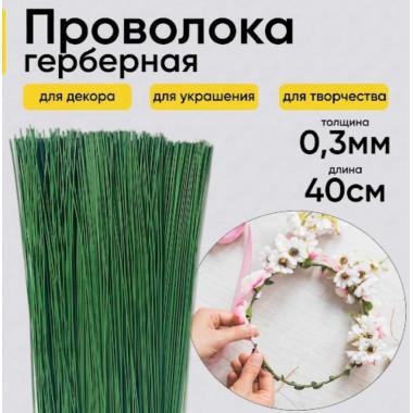 Проволока герберная Польша 0,3мм*40см (10шт) 